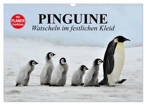 Pinguine – Watscheln im festlichen Kleid (Wandkalender 2024 DIN A3 quer), CALVENDO Monatskalender von Stanzer,  Elisabeth