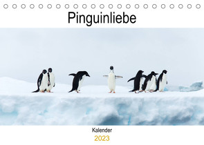 Pinguinliebe (Tischkalender 2023 DIN A5 quer) von Same