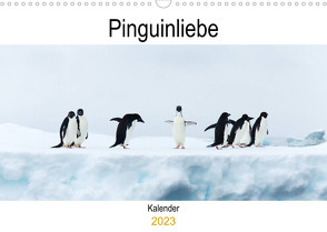 Pinguinliebe (Wandkalender 2023 DIN A3 quer) von Same