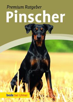 Pinscher von Schmitt,  Annette