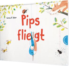 Pips fliegt von Naumann,  Ebi, Tabor,  Corey R.