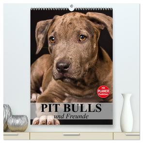 Pit Bulls und Freunde (hochwertiger Premium Wandkalender 2024 DIN A2 hoch), Kunstdruck in Hochglanz von Stanzer,  Elisabeth