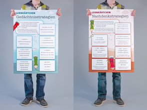 Plakate – Richtig schreiben in Klasse 5 und 6 – DIN A1 von Gora,  Stephan