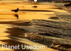 Planet Usedom (Wandkalender 2018 DIN A3 quer) von FOTO henryböhm,  DAS