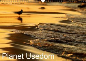 Planet Usedom (Wandkalender 2019 DIN A3 quer) von FOTO henryböhm,  DAS