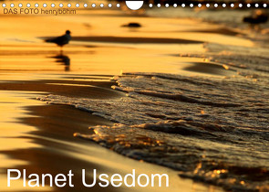 Planet Usedom (Wandkalender 2022 DIN A4 quer) von FOTO henryböhm,  DAS