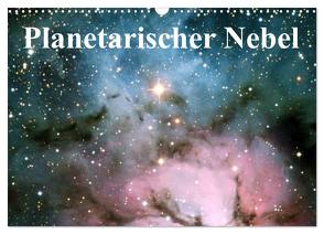 Planetarischer Nebel (Wandkalender 2024 DIN A3 quer), CALVENDO Monatskalender von Stanzer,  Elisabeth