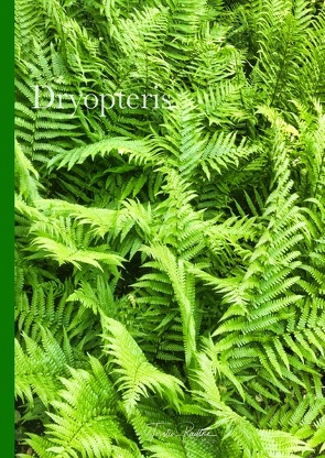 Plant Spirits / Dryopteris von Radtke,  Torsten