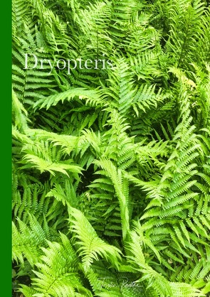 Plant Spirits / Dryopteris von Radtke,  Torsten