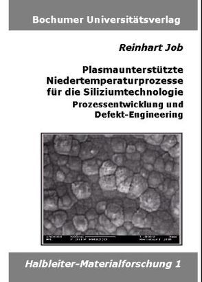 Plasmaunterstützte Niedertemperaturprozesse für die Siliziumtechnologie von Job,  Reinhart