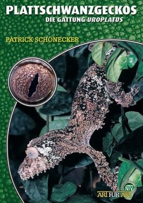 Plattschwanzgeckos von Schönecker,  Patrick