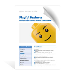 Playful Business von Ott,  Pascal