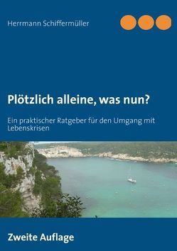 Plötzlich alleine, was nun? von Schiffermüller,  Herrmann