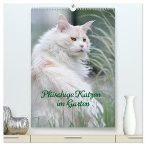 Plüschige Katzen im Garten (hochwertiger Premium Wandkalender 2024 DIN A2 hoch), Kunstdruck in Hochglanz von von der Heyde,  Wiebke