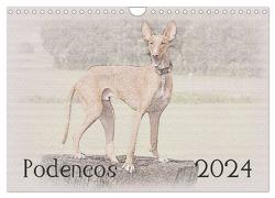 Podencos 2024 (Wandkalender 2024 DIN A4 quer), CALVENDO Monatskalender von Redecker,  Andrea