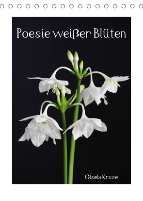 Poesie weißer Blüten (Tischkalender 2023 DIN A5 hoch) von Kruse,  Gisela