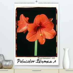 Polacolor Blumen 1 (Premium, hochwertiger DIN A2 Wandkalender 2020, Kunstdruck in Hochglanz) von Huempfner,  Franz