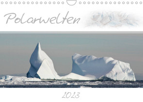 Polarwelten (Wandkalender 2023 DIN A4 quer) von Schlögl,  Brigitte