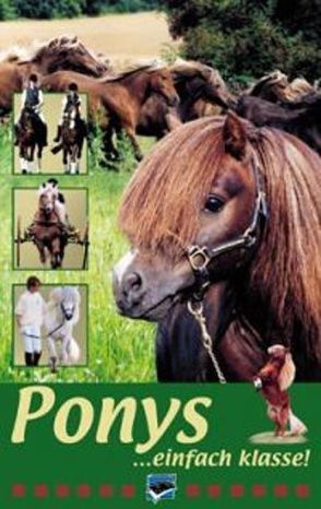 Ponys – einfach Klasse von Frevert,  Sylvia, Vogel,  Thomas