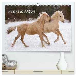 Ponys in Aktion (hochwertiger Premium Wandkalender 2024 DIN A2 quer), Kunstdruck in Hochglanz von Hahn,  Günter