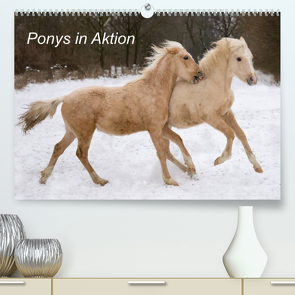 Ponys in Aktion (Premium, hochwertiger DIN A2 Wandkalender 2023, Kunstdruck in Hochglanz) von Hahn,  Günter