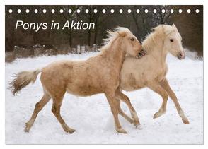 Ponys in Aktion (Tischkalender 2024 DIN A5 quer), CALVENDO Monatskalender von Hahn,  Günter