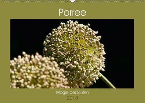 Porree – Magie der Blüten (Wandkalender 2018 DIN A2 quer) von Bölts,  Meike