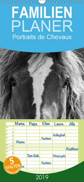 Portraits de Chevaux – Familienplaner hoch (Wandkalender 2019 , 21 cm x 45 cm, hoch) von vdp-fotokunst.de