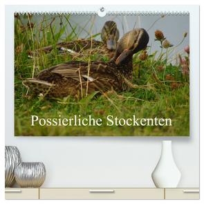 Possierliche Stockenten (hochwertiger Premium Wandkalender 2024 DIN A2 quer), Kunstdruck in Hochglanz von Paul - Babett's Bildergalerie,  Babett