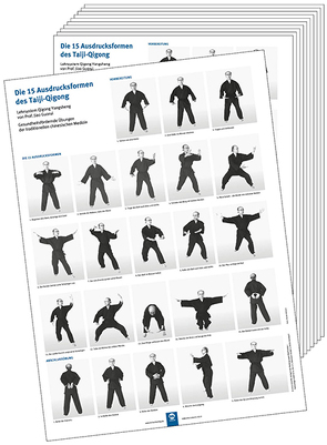 Poster – Die 15 Ausdrucksformen des Taiji-Qigong (10 Stück DIN A3) von Guorui,  Jiao, Hildenbrand,  Dr. Gisela