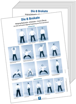 Poster – Die 8 Brokate (10 Stück DIN A3) von Guorui,  Jiao, Hildenbrand,  Dr. Gisela