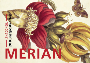 Postkarten-Set Maria Sibylla Merian von Merian,  Maria Sibylla