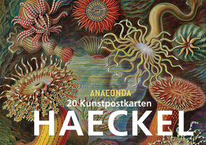 Postkartenbuch Ernst Haeckel von Haeckel,  Ernst