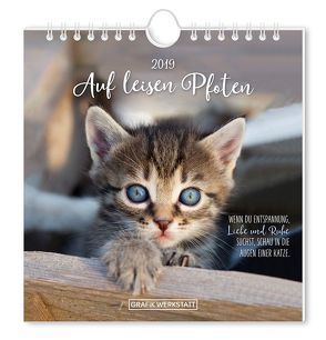 Postkartenkalender 2019 Auf leisen Pfoten