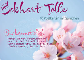 Postkartenset Eckhart Tolle von Tolle,  Eckhart