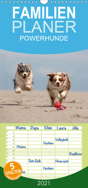 POWERHUNDE 2021 – Familienplaner hoch (Wandkalender 2021 , 21 cm x 45 cm, hoch) von Mirsberger,  Annett