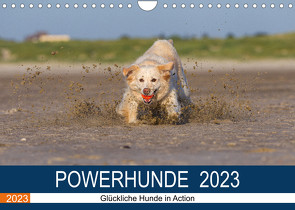 POWERHUNDE 2023 (Wandkalender 2023 DIN A4 quer) von Mirsberger,  Annett