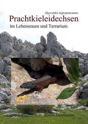 Prachtkieleidechsen von Dieckmann,  Martin