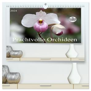 Prachtvolle Orchideen (hochwertiger Premium Wandkalender 2024 DIN A2 quer), Kunstdruck in Hochglanz von SchnelleWelten,  SchnelleWelten