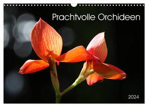 Prachtvolle Orchideen (Wandkalender 2024 DIN A3 quer), CALVENDO Monatskalender von SchnelleWelten,  SchnelleWelten