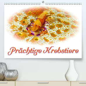 Prächtige Krebstiere (Premium, hochwertiger DIN A2 Wandkalender 2021, Kunstdruck in Hochglanz) von Smith,  Sidney