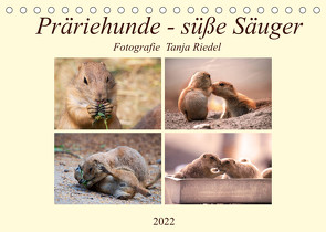 Präriehunde – süße Säuger (Tischkalender 2022 DIN A5 quer) von Riedel,  Tanja