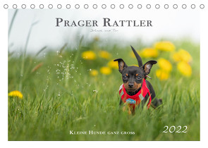 Prager Rattler – Black and Tan – Kleine Hunde ganz groß (Tischkalender 2022 DIN A5 quer) von - Seelenbilder,  Julo