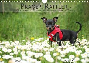 Prager Rattler (Wandkalender 2018 DIN A4 quer) von Julo-Seelenbider