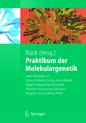 Praktikum der Molekulargenetik von Bunse,  Astrid, Holländer-Czytko,  Heike, Jeske,  Stefanie, Klämbt,  Christian, Klapper,  Robert, Kubigsteltig,  Ines I., Kück,  Ulrich, Meinhardt,  Friedhelm, Nickelsen,  Jörg, Nowrousian,  Minou, Pöggeler,  Stefanie, Pollmann,  Stephan, Strasser,  Thomas, Weiler,  Elmar W., Wolff,  Gabriele, Wolff,  K.