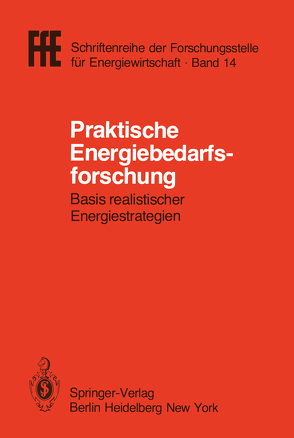 Praktische Energiebedarfsforschung von Schaefer,  Helmut