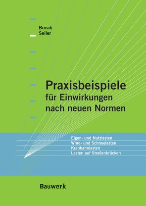 Praxisbeispiele für Einwirkungen nach neuen Normen von Bucak,  Ömer, Seiler,  Christian