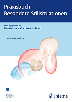 Praxisbuch: Besondere Stillsituationen von Deutscher Hebammenverband e.V.