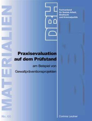 Praxisevaluation auf dem Prüfstand am Beispiel von Gewaltpräventionsprojekten von Leutner,  Corinna