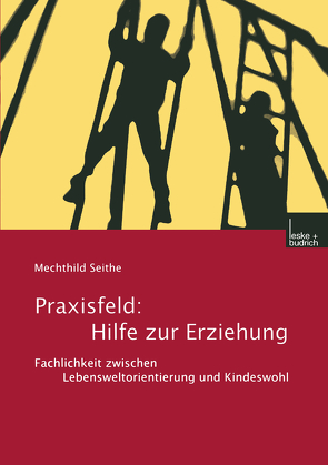 Praxisfeld: Hilfe zur Erziehung von Seithe,  Mechthild